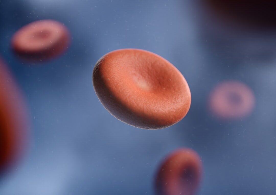 The Science of Angiogenesis: How SoftWave Restores Blood Flow to Injured Tissue The Science of Angiogenesis: How SoftWave Restores Blood Flow to Injured Tissue
